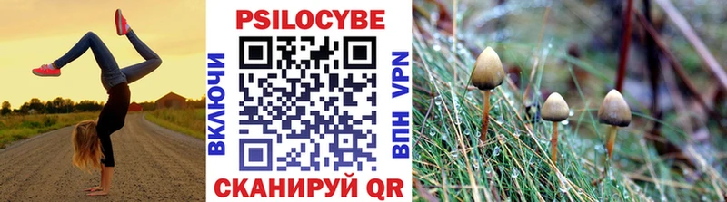 Псилоцибиновые грибы ЛСД Красногорск